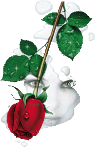 Rozen Plaatjes 