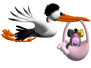 Plaatjes Schmomels 