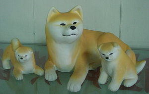 Plaatjes Shibas 