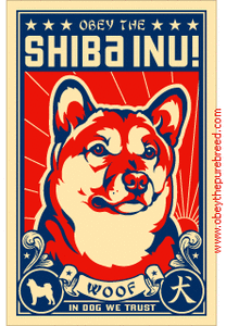 Plaatjes Shibas 