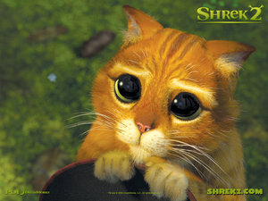 Shrek Plaatjes 