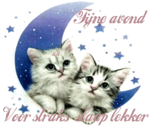 Plaatjes Fijne avond Slaap lekker Voor straks slaap lekker Fijne Avond Voor Straks Slaap Lekker Katten 