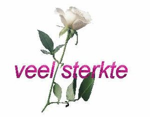 Plaatjes Sterkte 