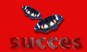 Plaatjes Succes 