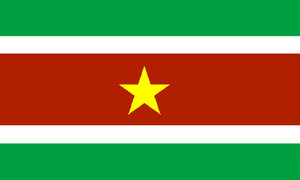 Plaatjes Suriname Suriname Vlag