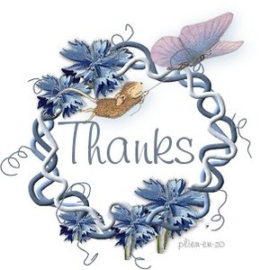 Plaatjes Thank you 