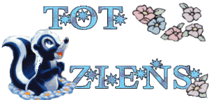 Plaatjes Tot ziens 
