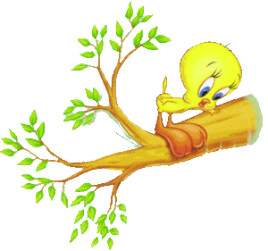 Tweety Plaatjes 