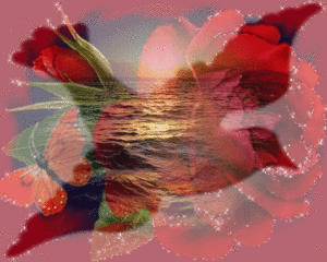 Valentijn Plaatjes Duif In Roos Met Vlinder