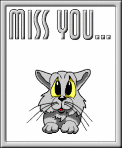 Valentijn Plaatjes Miss You Poes Knipoog Kat
