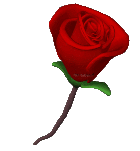 Valentijn Plaatjes Rode Roos En Hart For All My Friends Happy Valentines Day