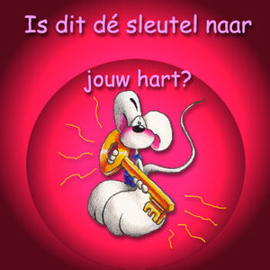 Valentijn Plaatjes Is Dit De Sleutel Naar Jouw Hart Diddl