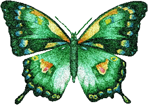 Vlinders Plaatjes 