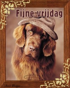 Plaatjes Vrijdag Fijne Vrijdag Hond