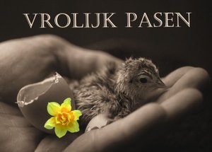 Plaatjes Vrolijk pasen 