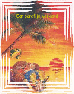 Plaatjes Weekend 