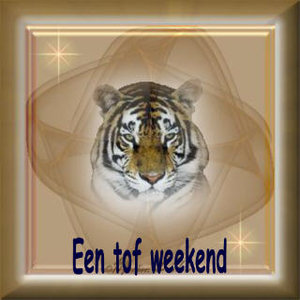 Plaatjes Weekend 