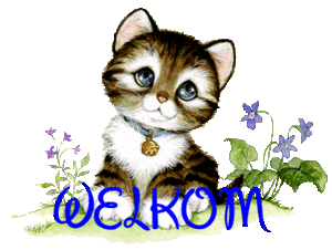 Welkom Plaatjes Poesje Welkom