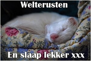 Plaatjes Welterusten 