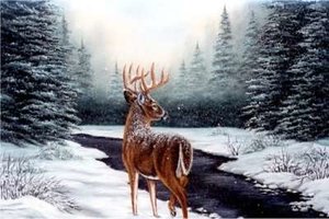 Winter Plaatjes 