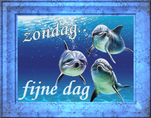 Plaatjes Zondag Fijne Zondag, Fijne Dag, Dolfijnen