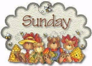 Plaatjes Zondag Sunday Beren