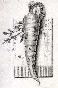 Plaatjes Zwart wit plaatjes 