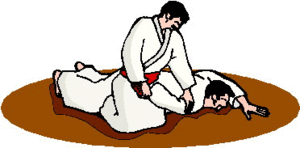 Aikido Sport plaatjes 