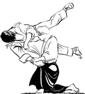 Aikido Sport plaatjes 