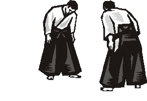 Aikido Sport plaatjes 