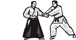 Aikido Sport plaatjes 