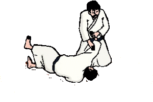 Aikido Sport plaatjes 