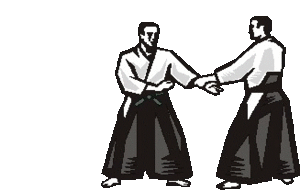 Aikido Sport plaatjes 