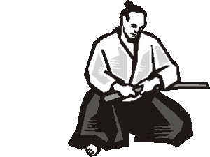 Aikido Sport plaatjes 