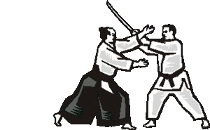 Aikido Sport plaatjes 