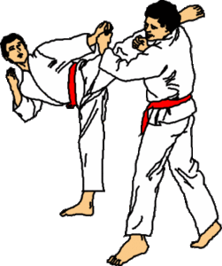 Sport plaatjes Jiu jitsu 