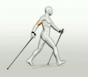 Nordic walking Sport plaatjes 