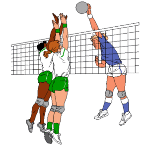 Sport plaatjes Volleyball 