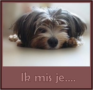 Tags Wenskaarten Wenskaart Ik Mis Je...