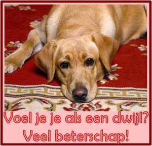 Tags Wenskaarten Wenskaart Veel Beterschap