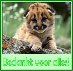 Tags Wenskaarten Wenskaart Bedankt Voor Alles