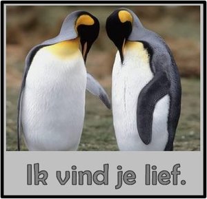 Tags Wenskaarten Wenskaart Ik Vind Je Lief