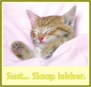 Tags Wenskaarten Wenskaart Slaap Lekker