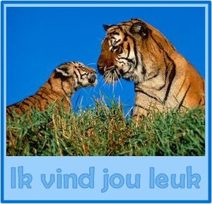 Tags Wenskaarten Wenskaart Ik Vind Jou Leuk