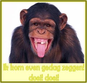 Tags Wenskaarten Wenskaart Even Gedag Zeggen