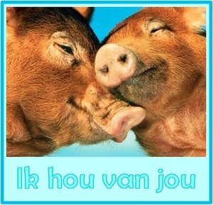 Tags Wenskaarten Wenskaart Ik Hou Van Jou