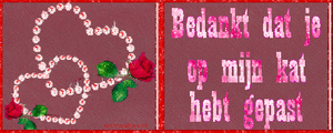 Bedankt Tekst plaatjes 