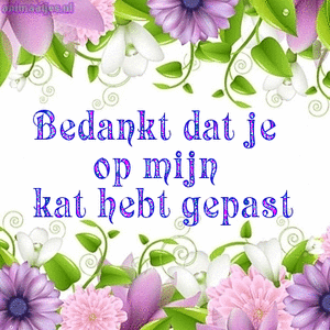 Bedankt Tekst plaatjes 