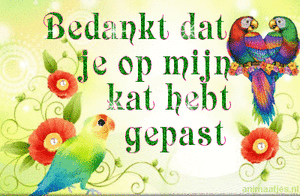 Bedankt Tekst plaatjes 