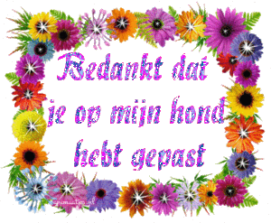 Bedankt Tekst plaatjes 